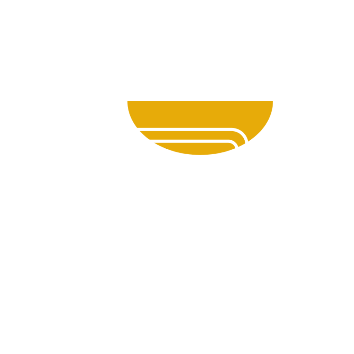 5 website design services wordpress premium support hosting domain